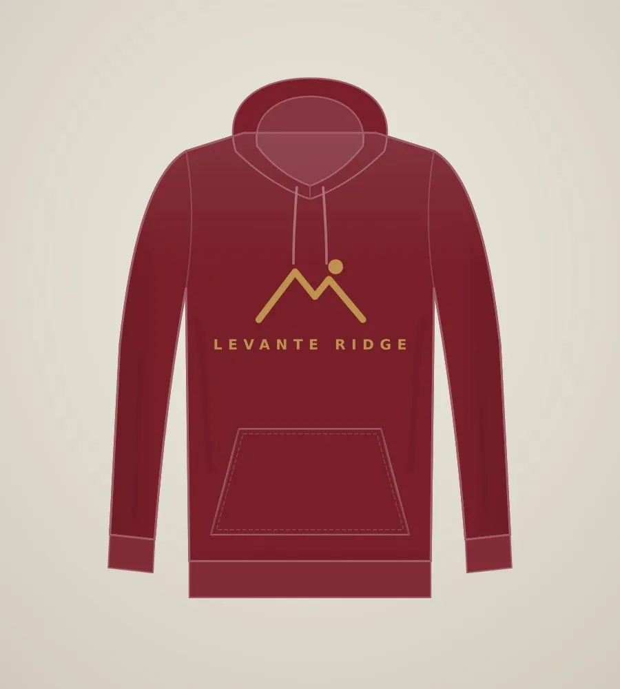 Maroon campus hoodie
